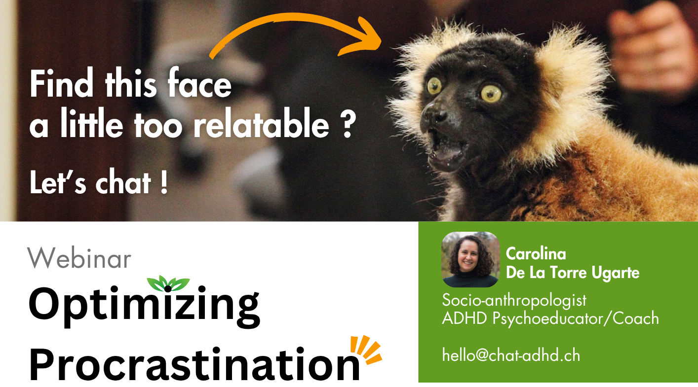 November Webinars – Procrastination !