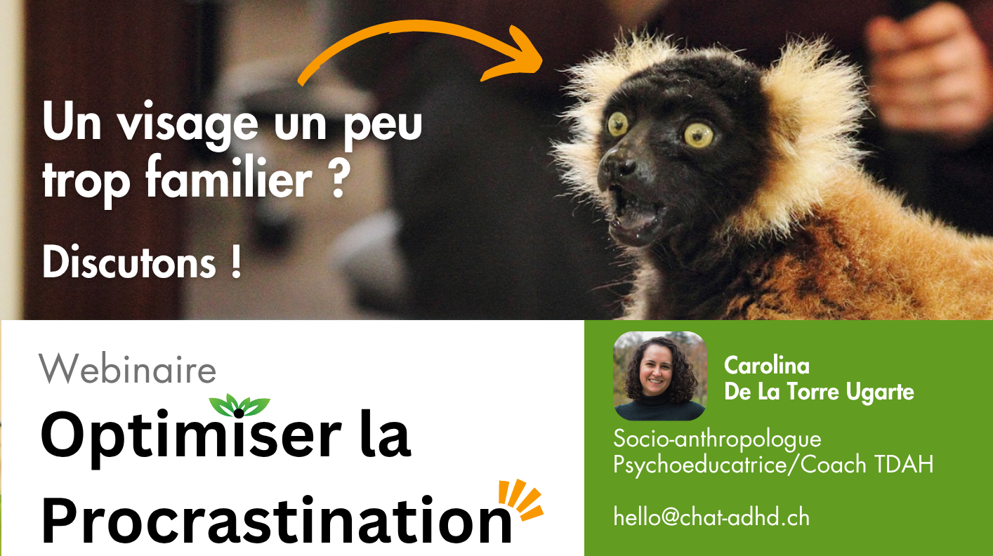 Webinaires en Novembre – Procrastination !